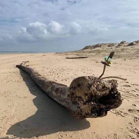 A Avec Acces Piscine Apartman *